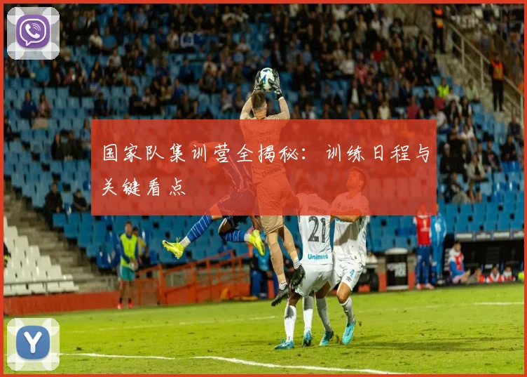 国家队集训营全揭秘：训练日程与关键看点